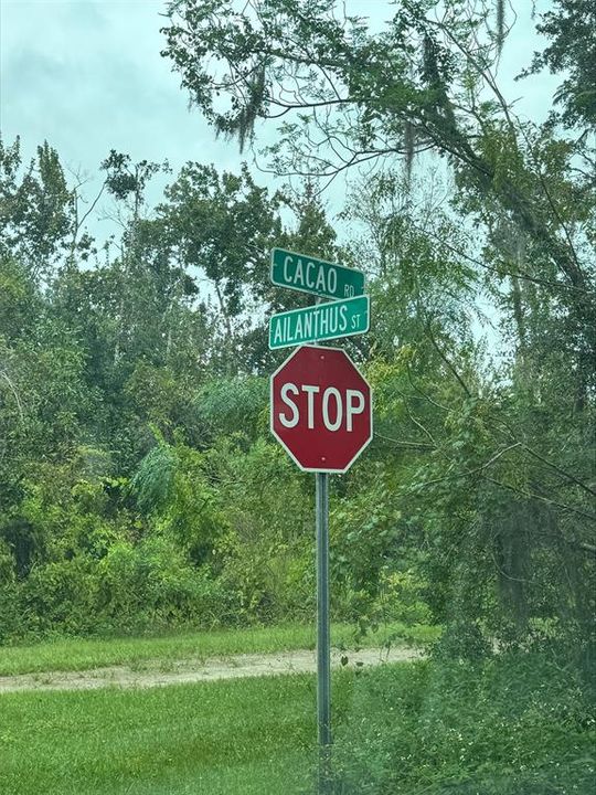 待售: $80,000 (0.28 acres)