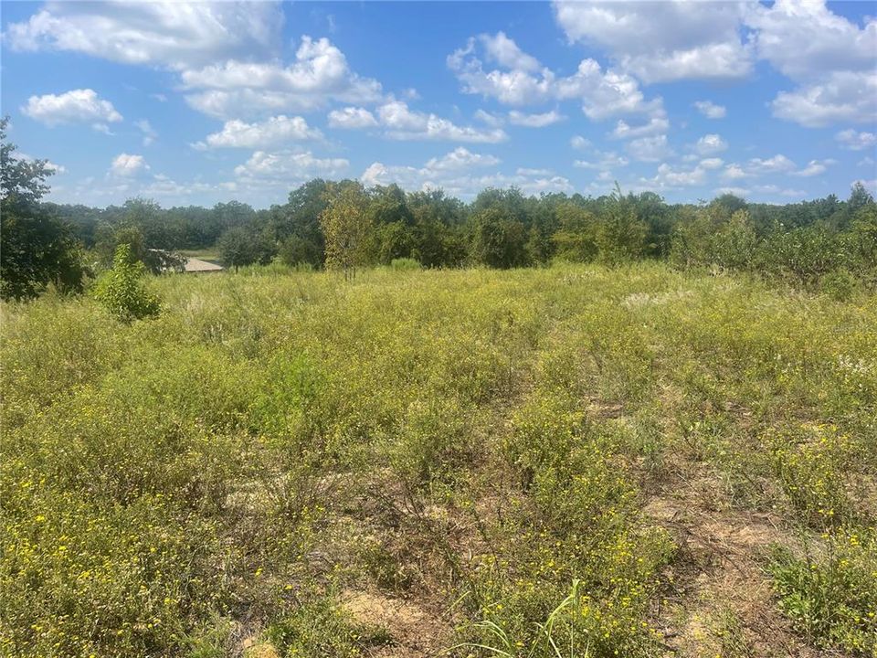 For Sale: $289,900 (5.50 acres)