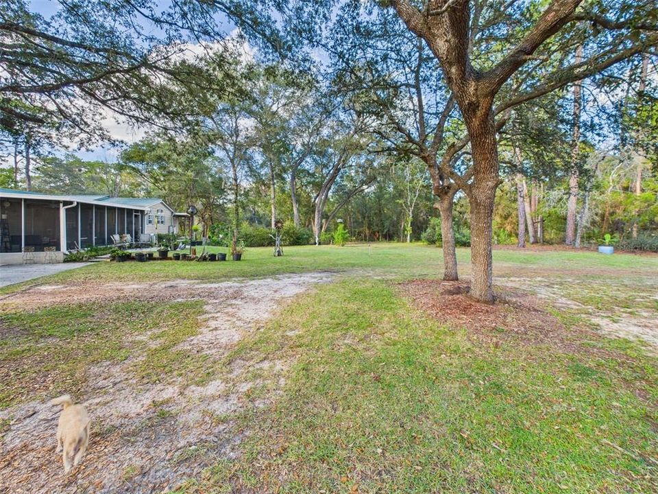 待售: $375,000 (3 贝兹, 2 浴室, 2349 平方英尺)