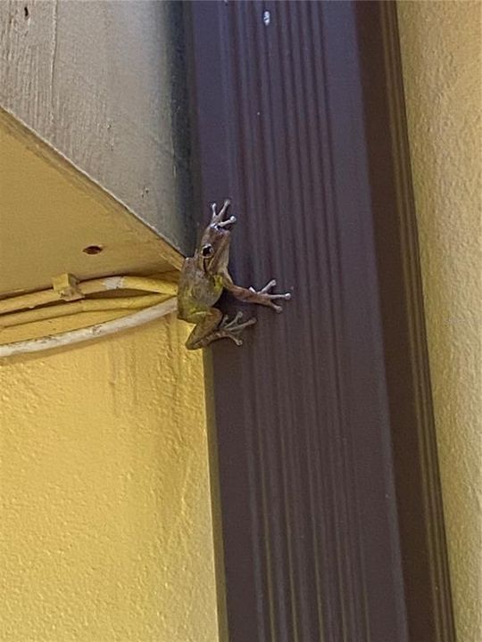 For Rent: $2,650 (2 beds, 2 baths, 1328 Square Feet)