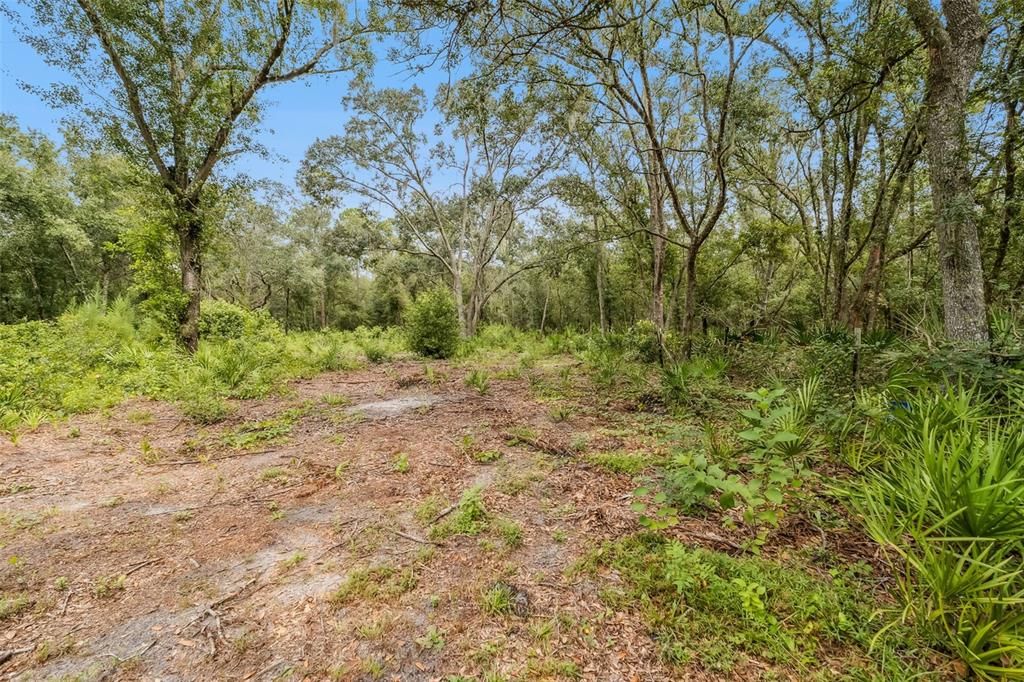 For Sale: $155,000 (3 beds, 2 baths, 1548 Square Feet)