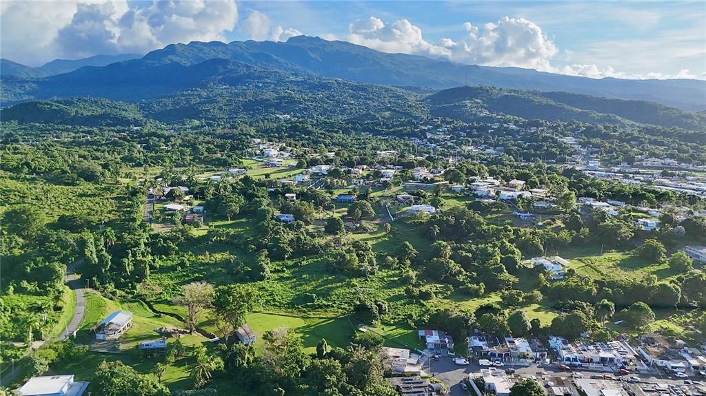 For Sale: $399,000 (7.40 acres)