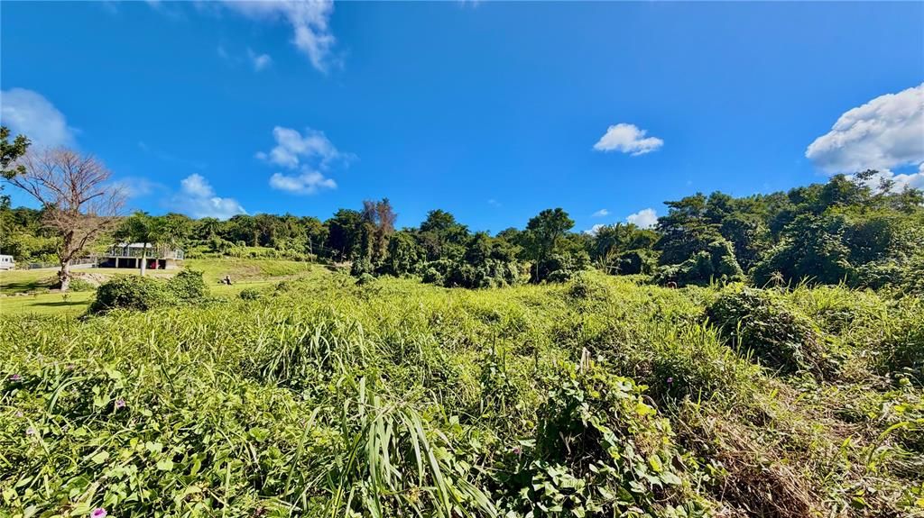 For Sale: $399,000 (7.40 acres)