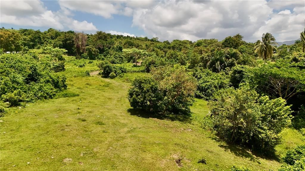 For Sale: $399,000 (7.40 acres)