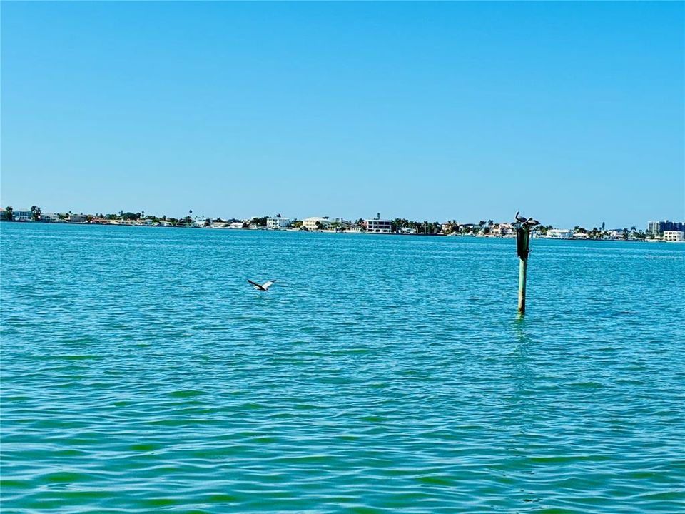 出租: $3,595 (3 贝兹, 2 浴室, 1344 平方英尺)