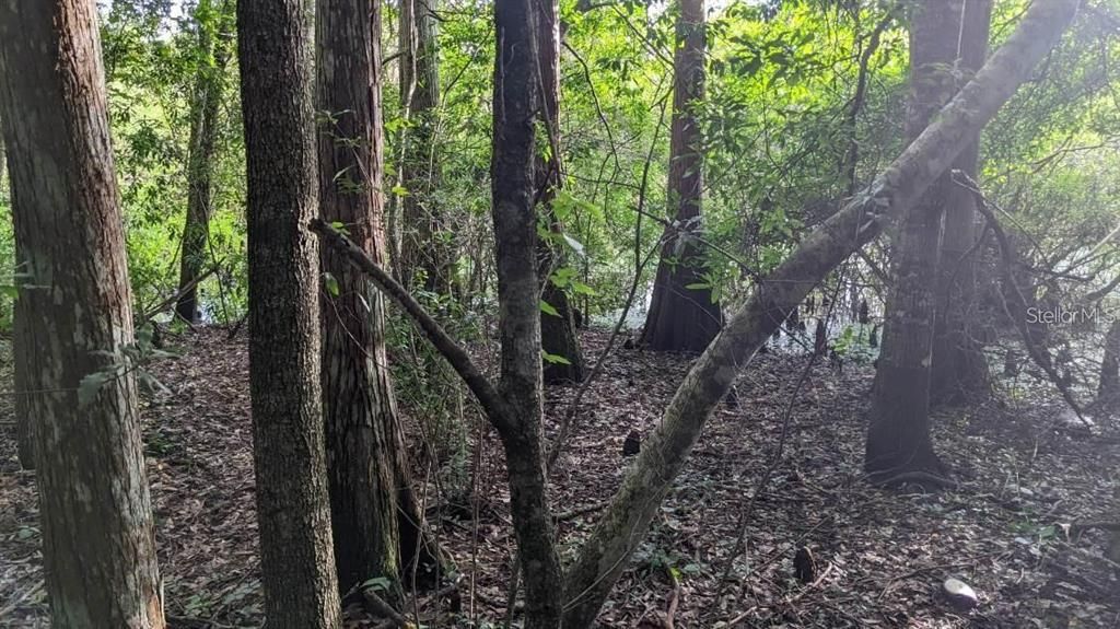 For Sale: $23,000 (0.18 acres)