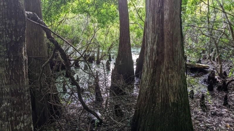 For Sale: $23,000 (0.18 acres)