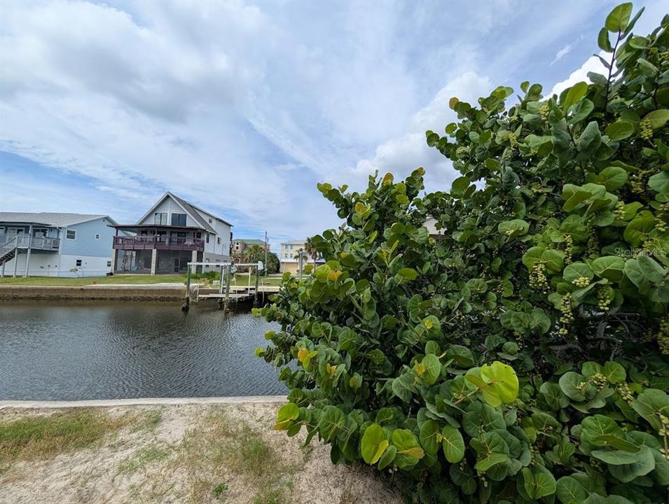 待售: $475,000 (3 贝兹, 1 浴室, 1203 平方英尺)