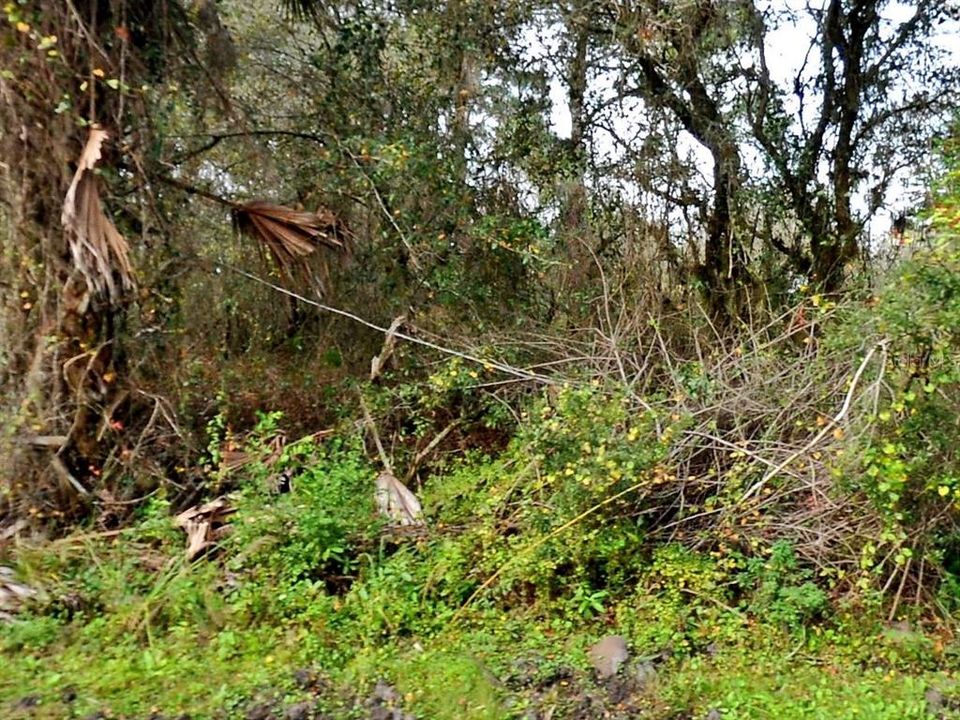 合同活跃: $19,000 (0.23 acres)