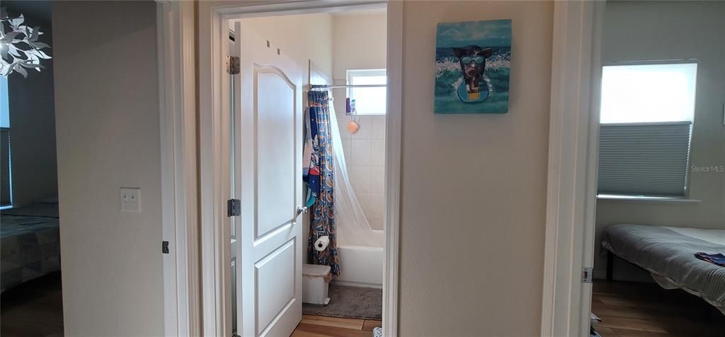 出租: $3,000 (3 贝兹, 2 浴室, 1772 平方英尺)