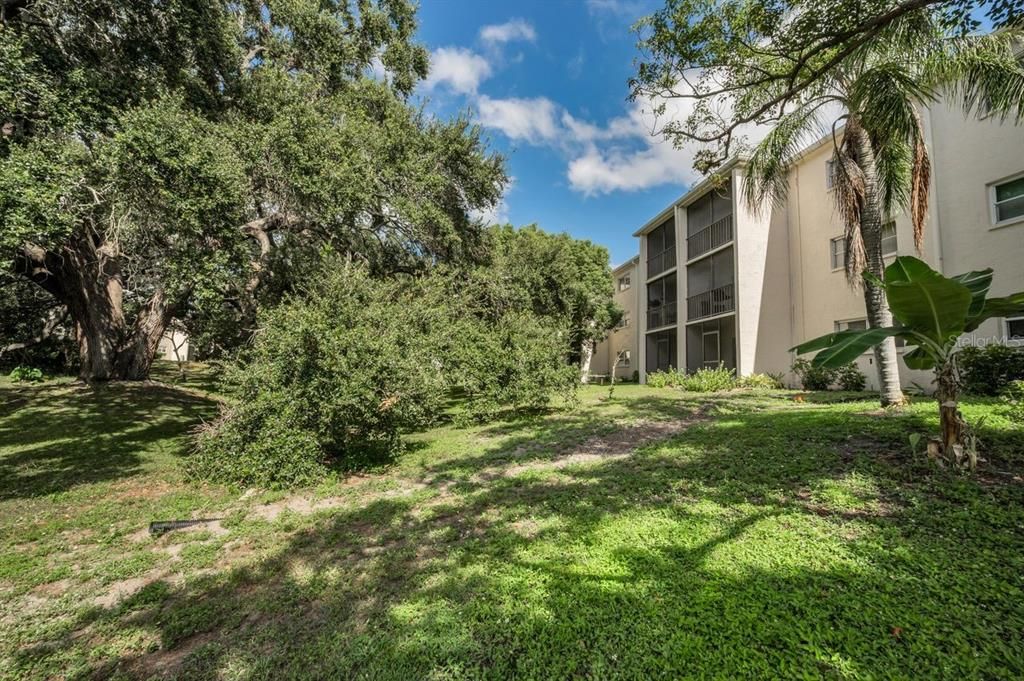 For Sale: $95,000 (1 beds, 1 baths, 817 Square Feet)