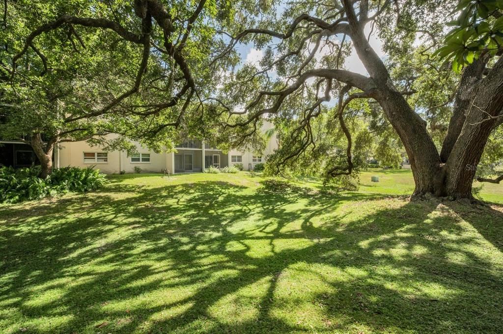 For Sale: $95,000 (1 beds, 1 baths, 817 Square Feet)