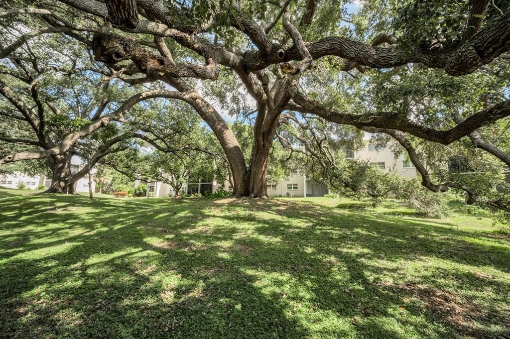 For Sale: $95,000 (1 beds, 1 baths, 817 Square Feet)