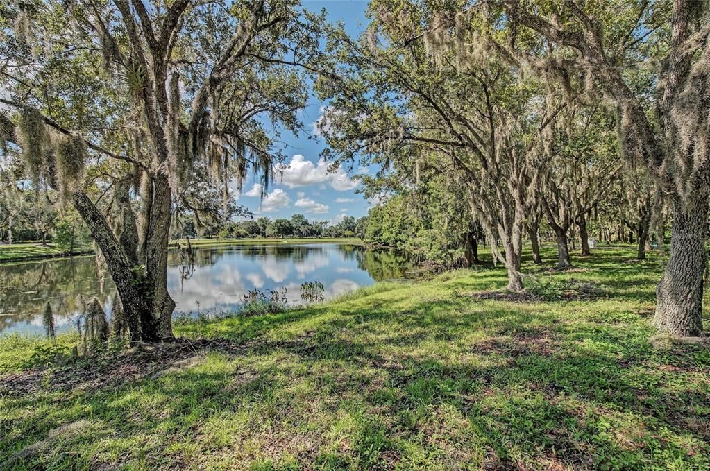 For Sale: $410,000 (2 beds, 2 baths, 1806 Square Feet)