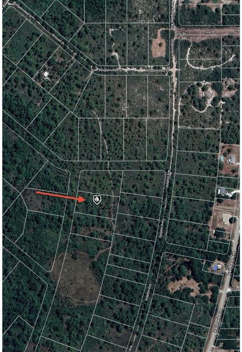 En Venta: $9,500 (1.07 acres)
