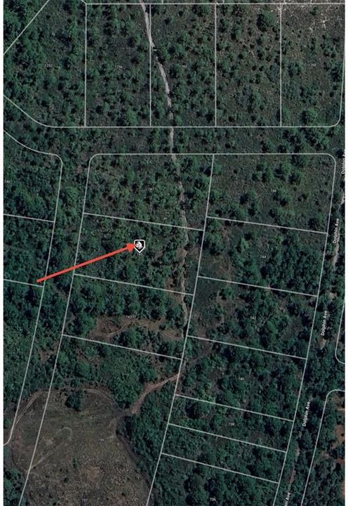 En Venta: $9,500 (1.07 acres)