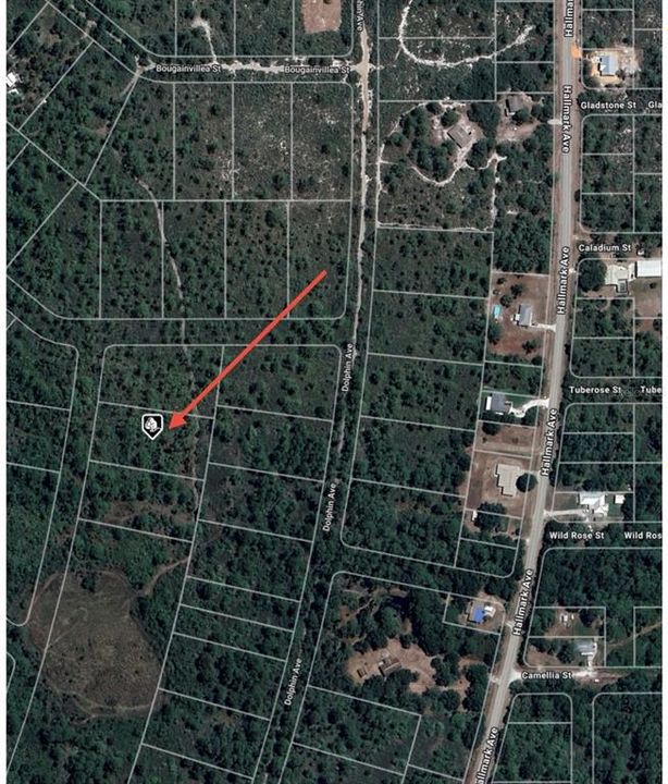 En Venta: $9,500 (1.07 acres)