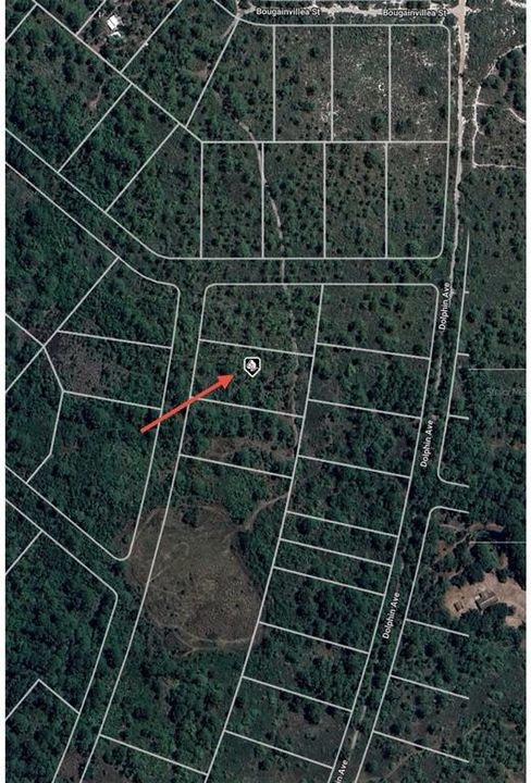 En Venta: $9,500 (1.07 acres)
