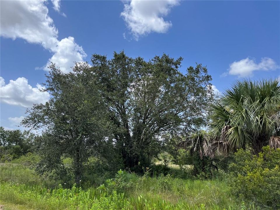 待售: $74,495 (1.25 acres)