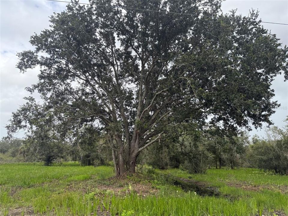 待售: $74,495 (1.25 acres)