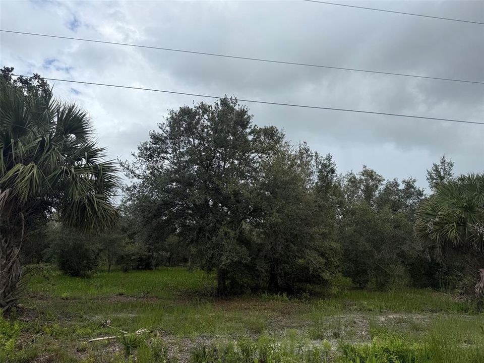 待售: $74,495 (1.25 acres)