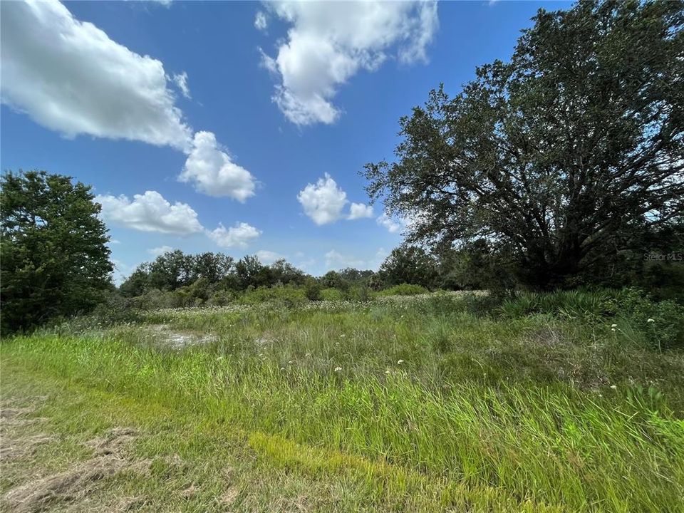 待售: $74,495 (1.25 acres)