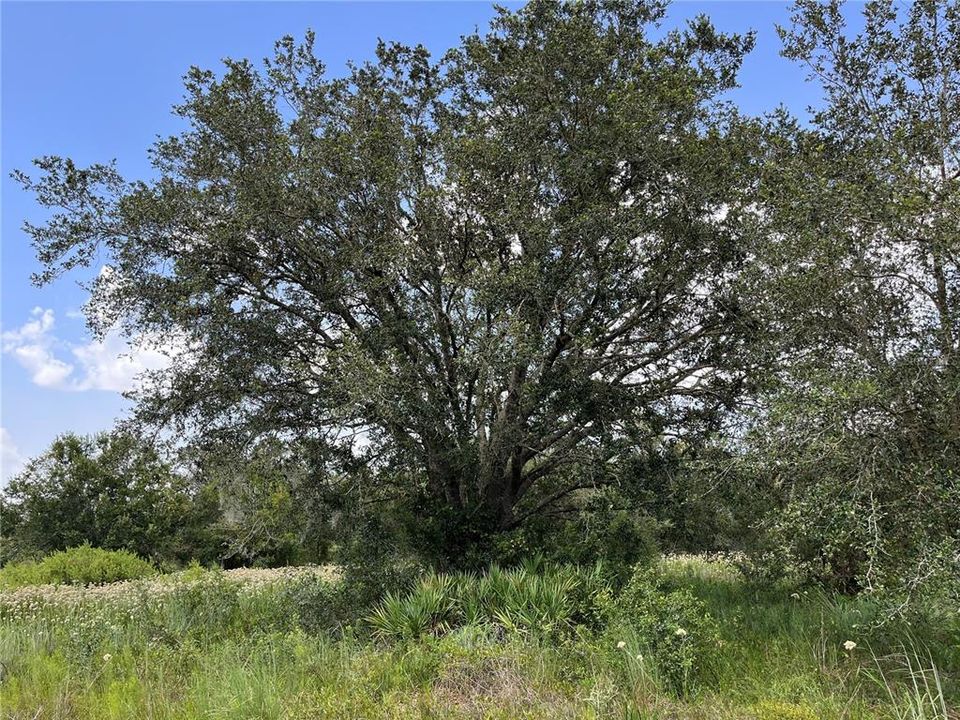 待售: $74,495 (1.25 acres)