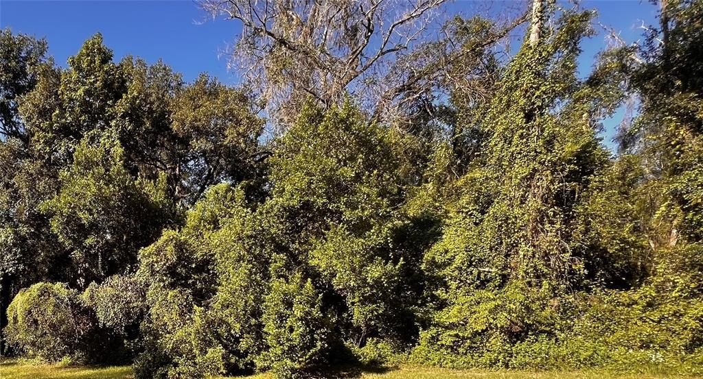 Recently Sold: $13,500 (0.37 acres)