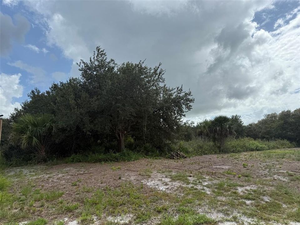 En Venta: $74,495 (1.25 acres)
