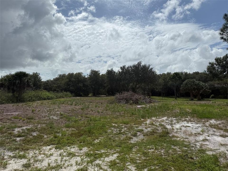 En Venta: $74,495 (1.25 acres)
