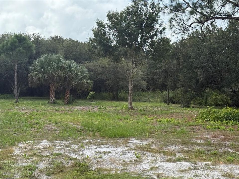 En Venta: $74,495 (1.25 acres)