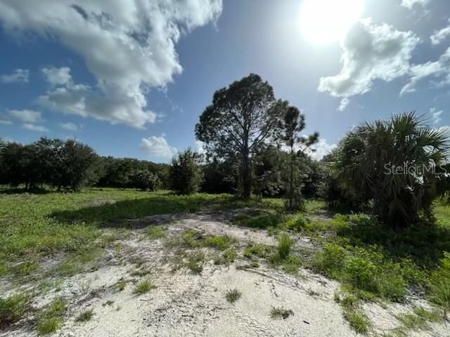 En Venta: $74,495 (1.25 acres)