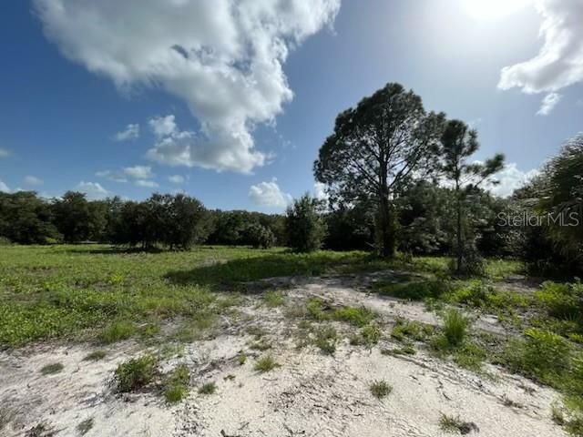 En Venta: $74,495 (1.25 acres)