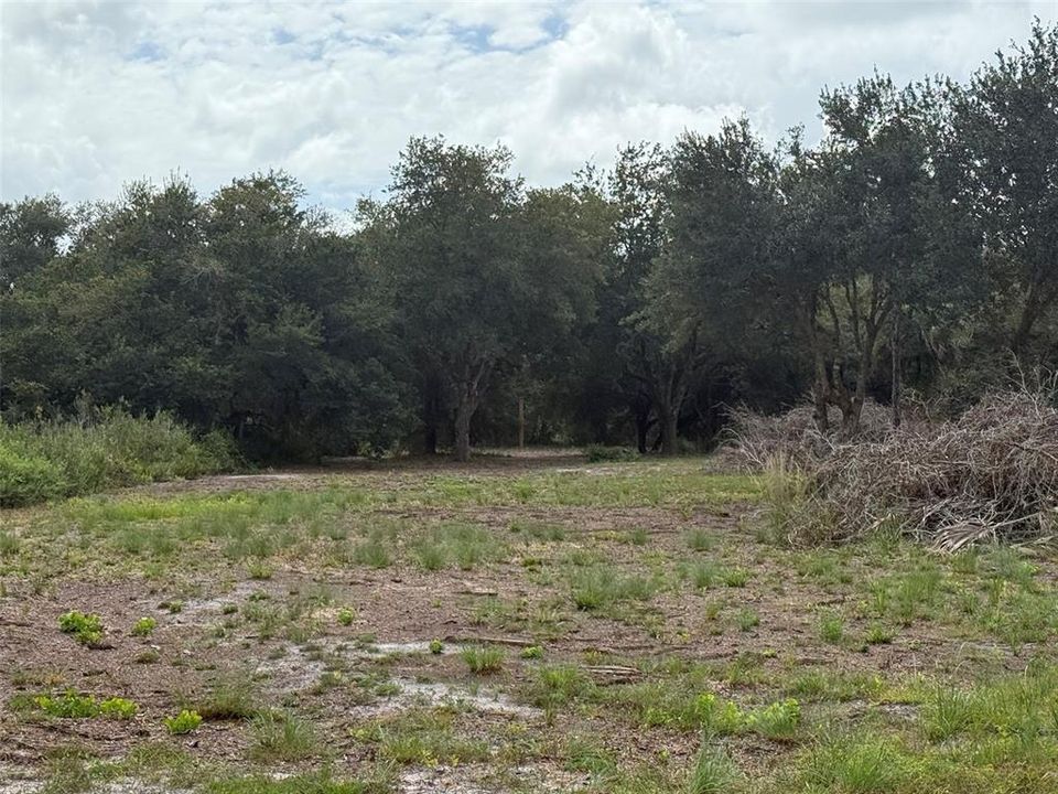 En Venta: $74,495 (1.25 acres)