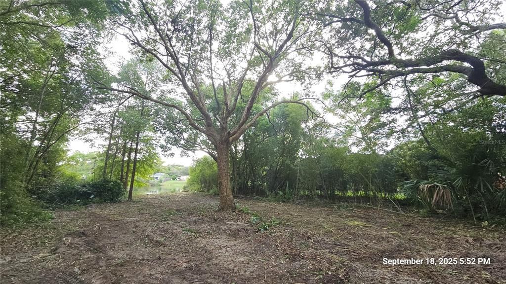 For Sale: $49,900 (0.23 acres)