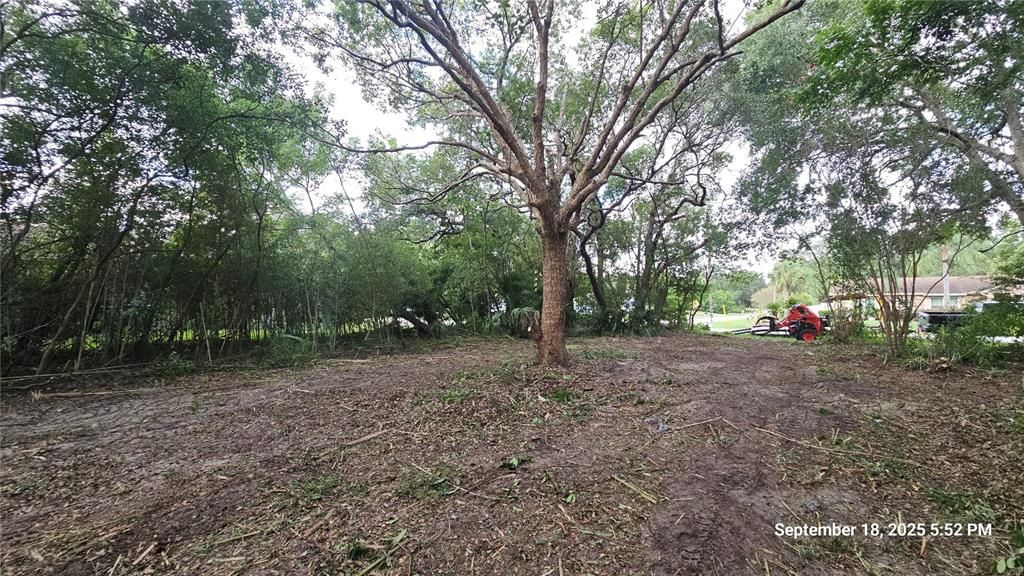 For Sale: $49,900 (0.23 acres)