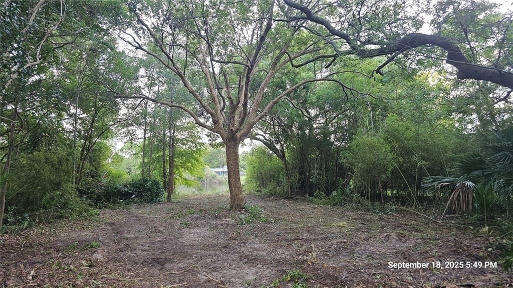 For Sale: $49,900 (0.23 acres)