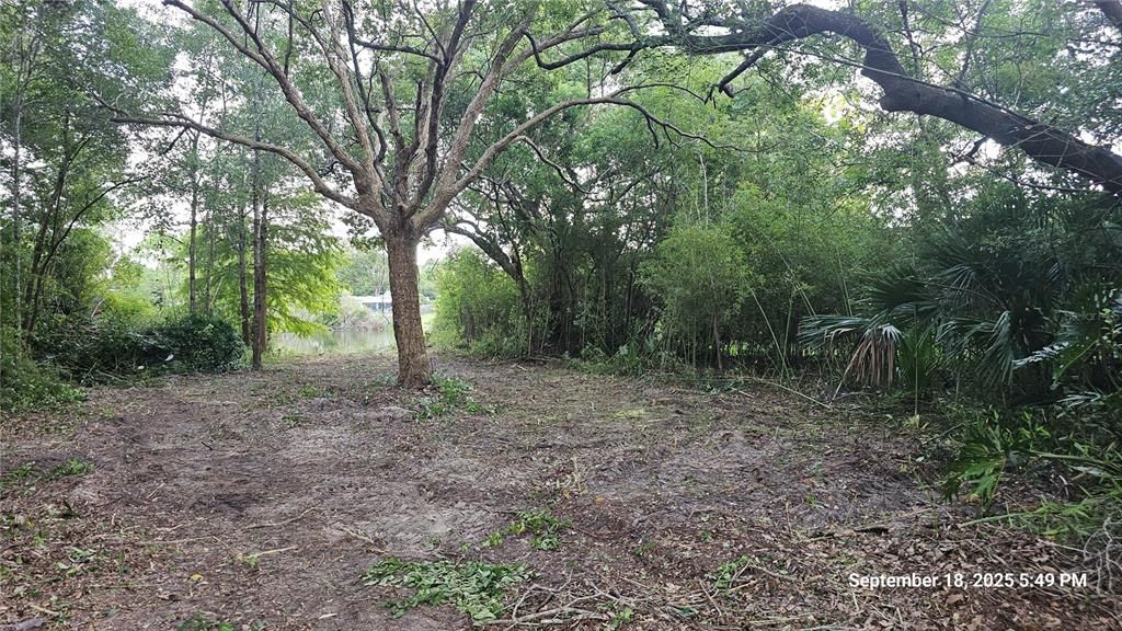 For Sale: $49,900 (0.23 acres)