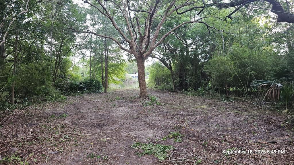 For Sale: $49,900 (0.23 acres)