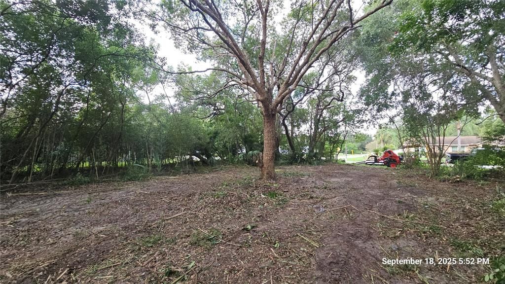 For Sale: $49,900 (0.23 acres)