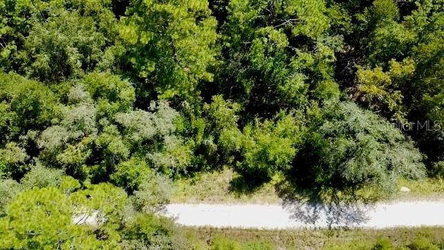 待售: $17,000 (0.31 acres)