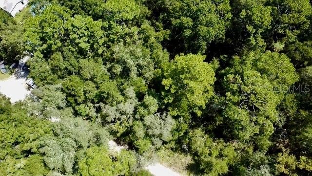 待售: $17,000 (0.31 acres)