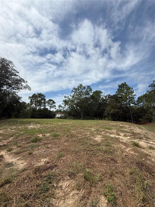 For Sale: $32,900 (0.32 acres)