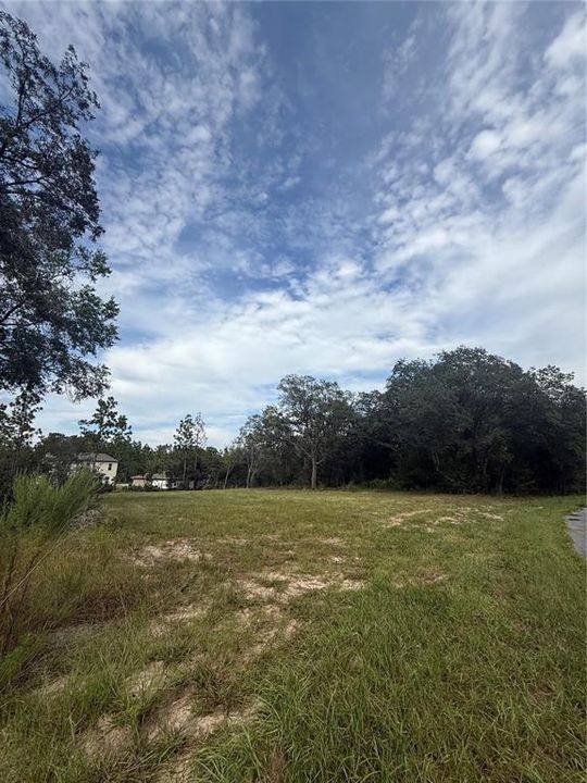 For Sale: $32,900 (0.32 acres)