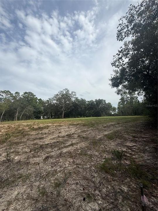 For Sale: $32,900 (0.32 acres)