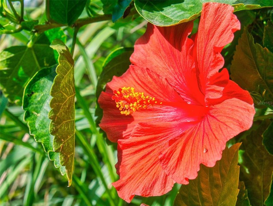 待售: $629,000 (2 贝兹, 2 浴室, 1300 平方英尺)