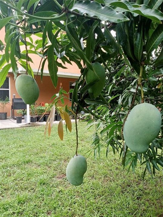 For Sale: $599,000 (6 beds, 3 baths, 4200 Square Feet)