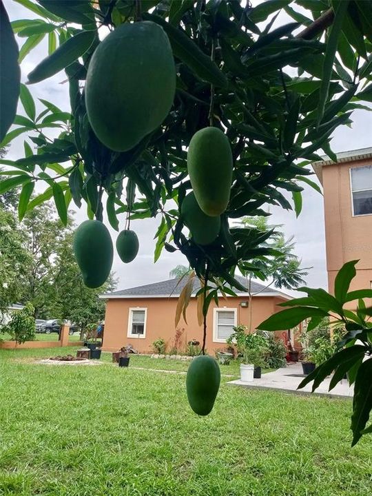 For Sale: $599,000 (6 beds, 3 baths, 4200 Square Feet)