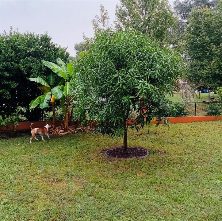 For Sale: $599,000 (6 beds, 3 baths, 4200 Square Feet)