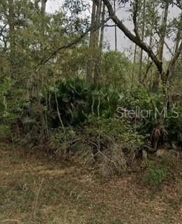 For Sale: $20,000 (0.36 acres)